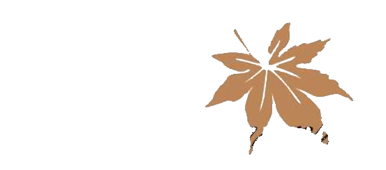 Golden Maple